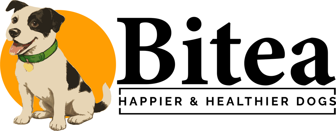 Joint Health in Dogs: What Science Says About Mobility, Nutrition, and Daily Support