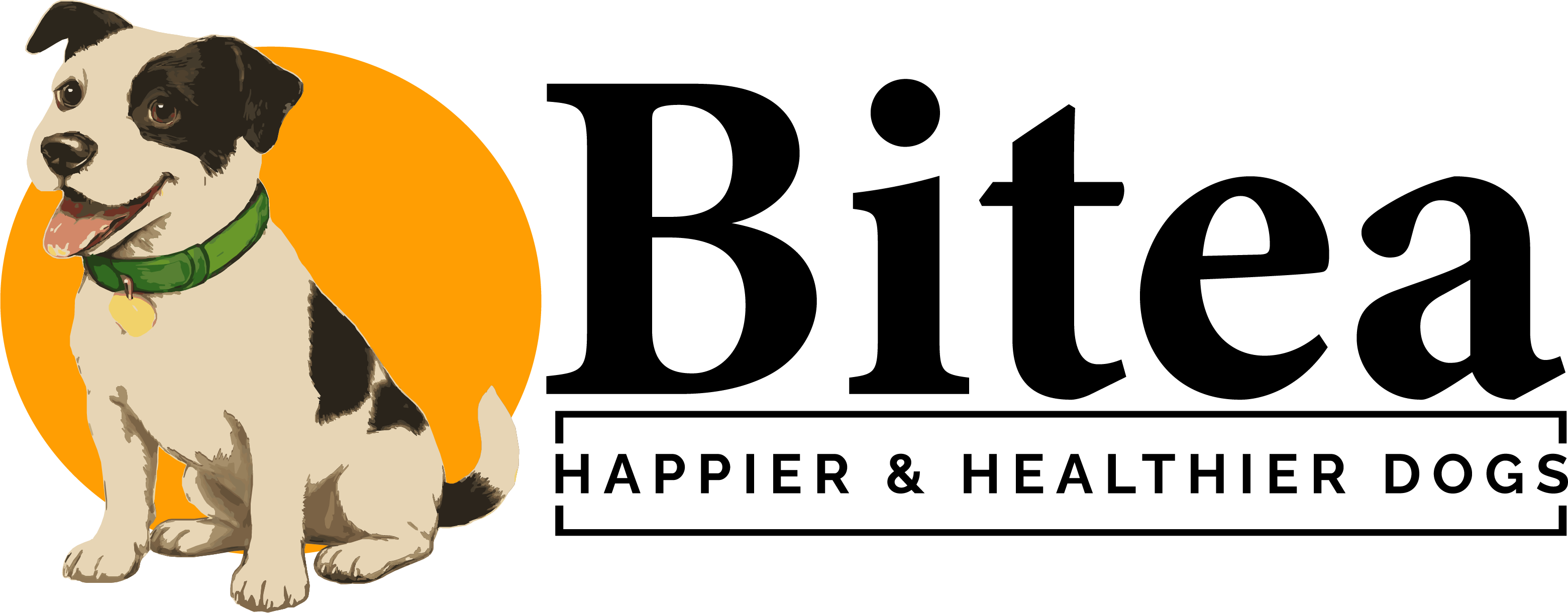 Joint Health in Dogs: What Science Says About Mobility, Nutrition, and Daily Support