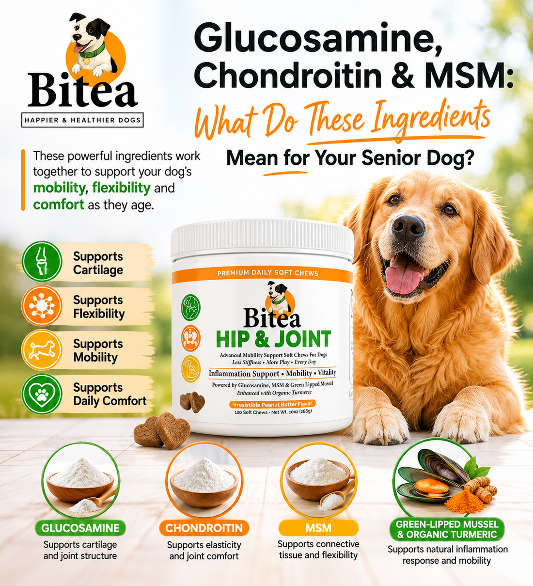 Glucosamine, Chondroitin & MSM: What Do These Ingredients Mean for Your Senior Dog?