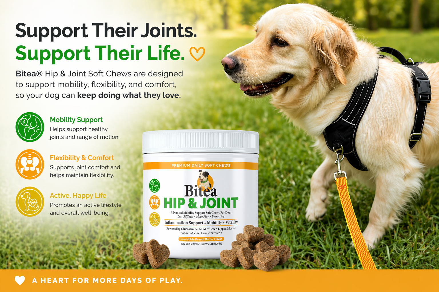 How Joint Supplements Help Dogs: What Veterinary Science Says