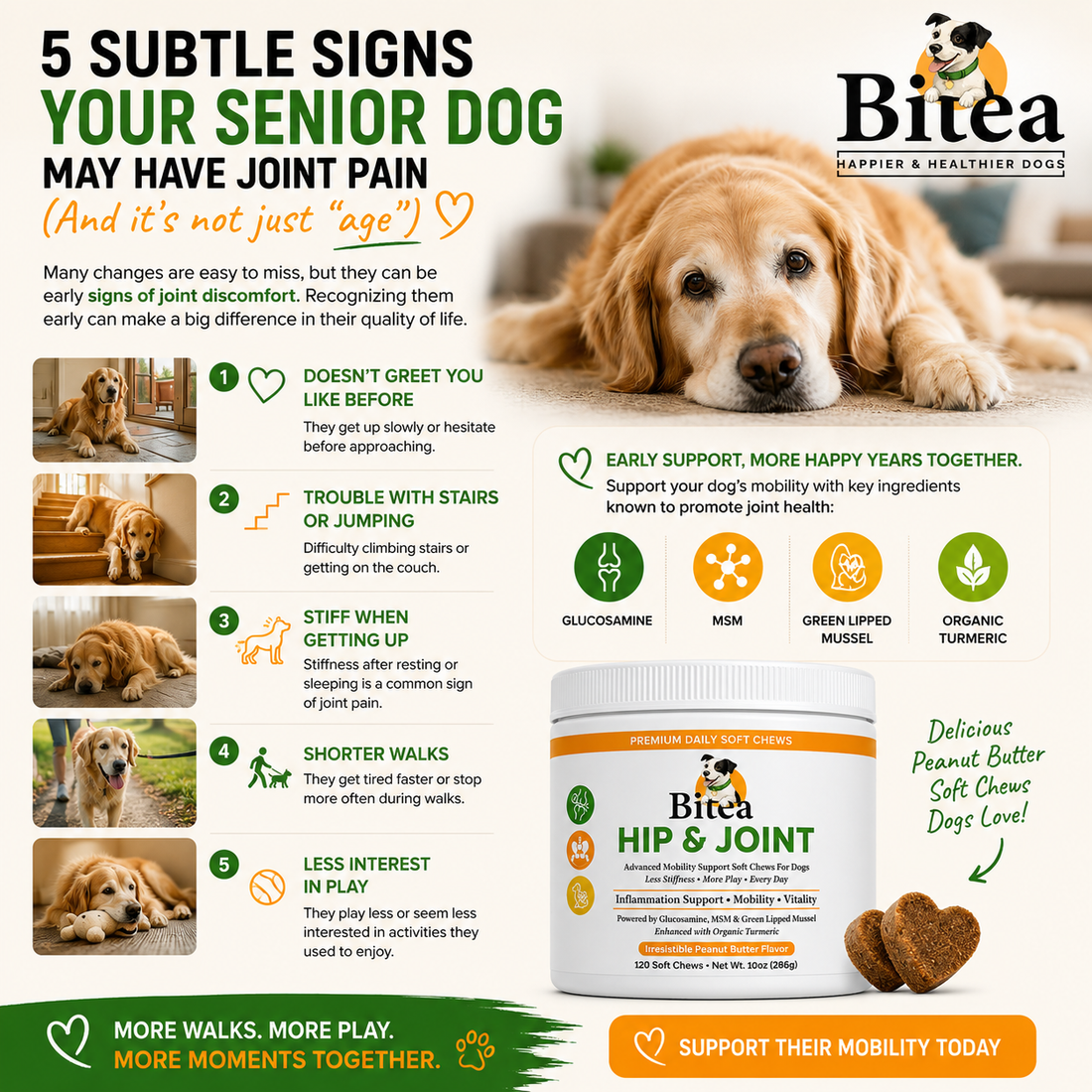 🐾 5 Subtle Signs of Joint Pain in Senior Dogs (And Why You Shouldn't Ignore Them)