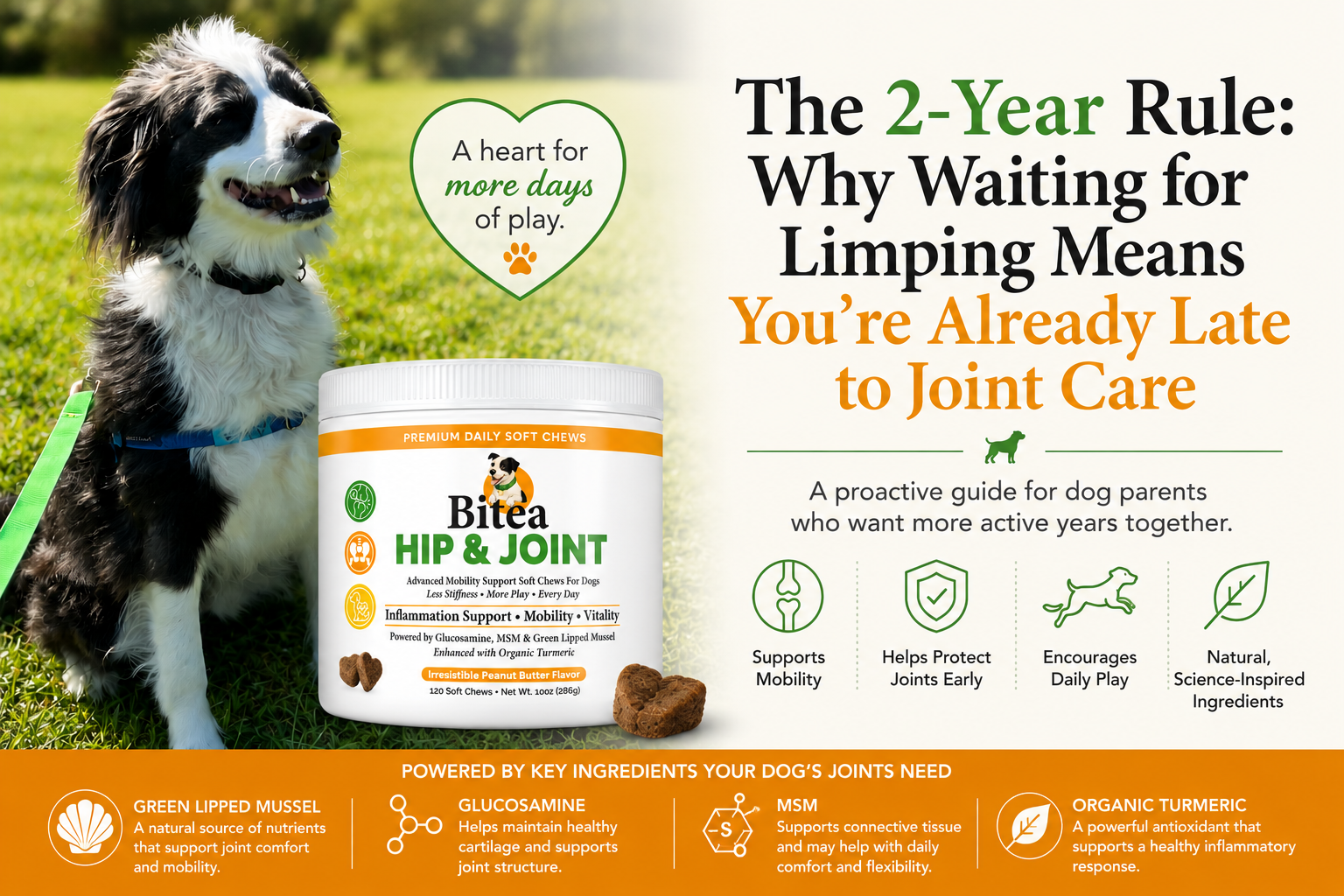 The 2-Year Rule: Why Waiting for Limping Means You’re Already Late to Joint Care